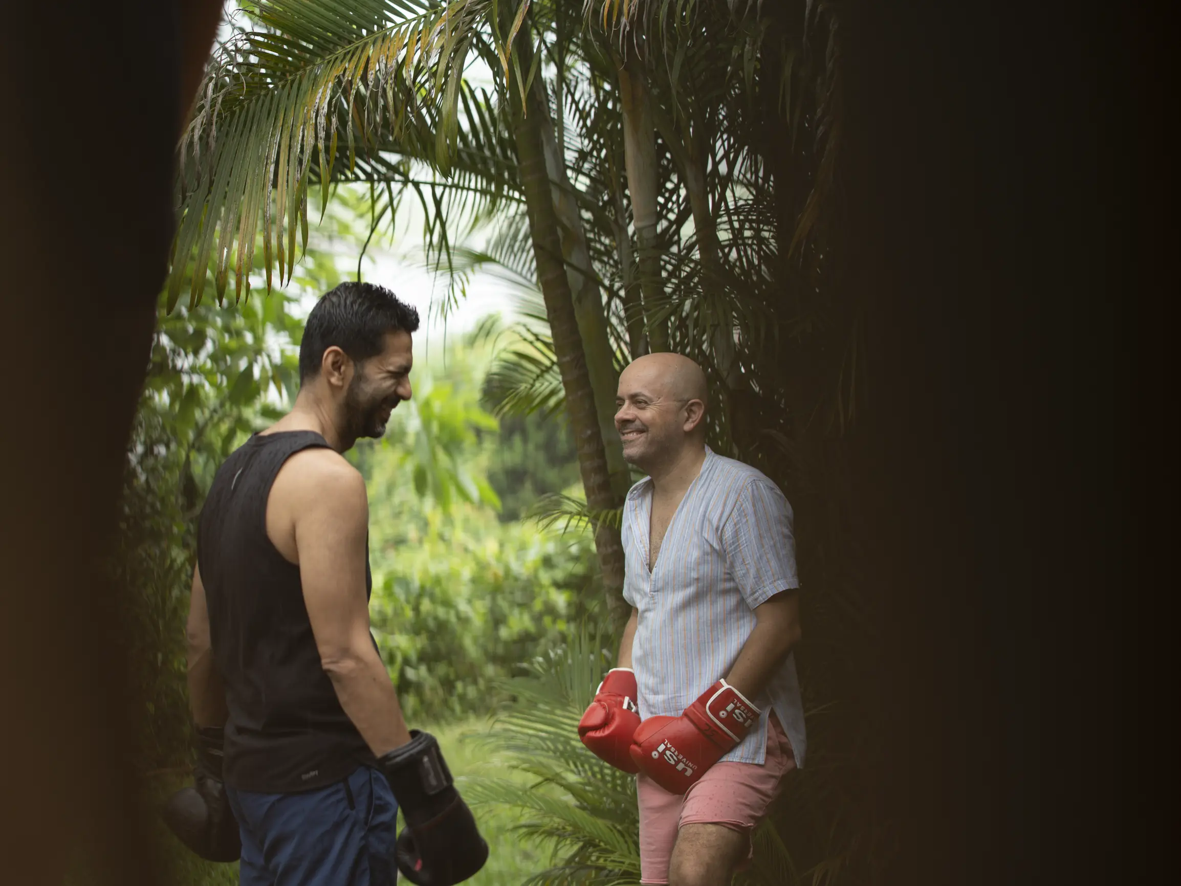 Two men with boxing gloves laughing together outdoors near lush green plants.